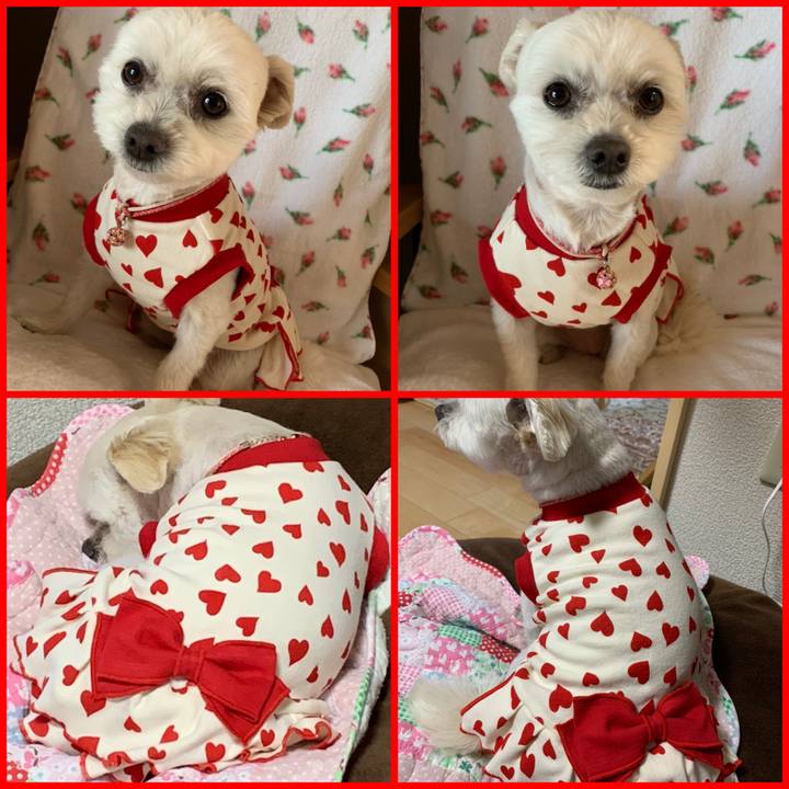 1ec92e13 2e80 4be5 8428 572582aa8b3d 1617337957218