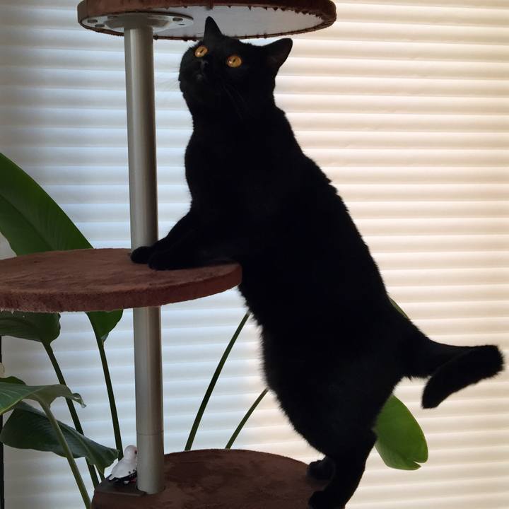 1ec93163 75c7 4233 bdeb 98ec6737f99d 1552983787083