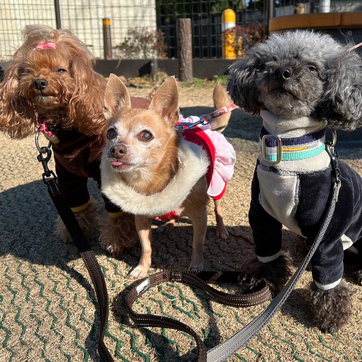 1ec9366a 7346 41e6 ab8c 67c6a1432d32 1640650525228