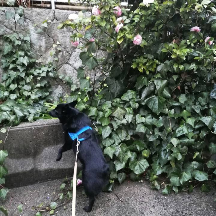 1ec960d9 88bd 432c 9937 018af5f7f059 1614896407709