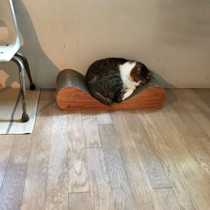 1ec99253 2392 43f7 9ad2 93c7b0b8926a 1526980468503