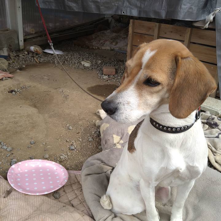 1ec99a1c 2817 4434 bb52 f4510023af19 1648636877036