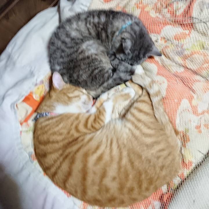 1ec9a4e0 9ad8 46ad bcea 0fa8e9e9411e 1568984987990