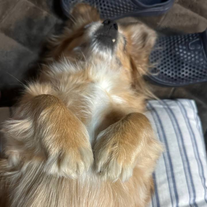 1ec9b2b3 a45d 41df 80a4 c87ce357d87a 1732828408100