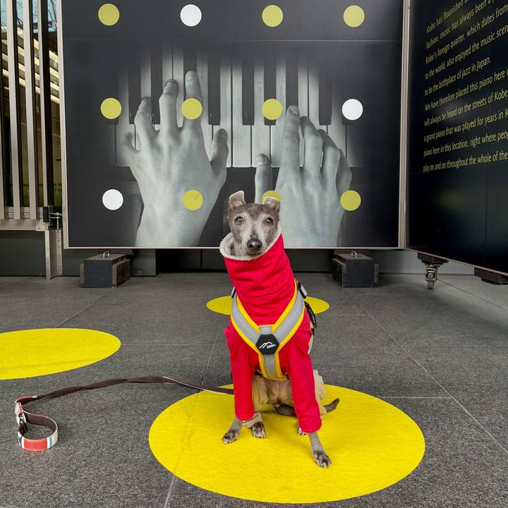 1eca1543 5f95 4047 a013 3988e3c87700 1773745121340