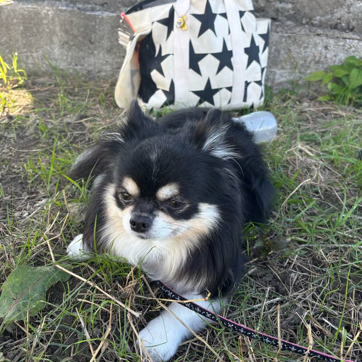 1eca17c8 1cb2 4247 b8d4 c50524860366 1763116756531