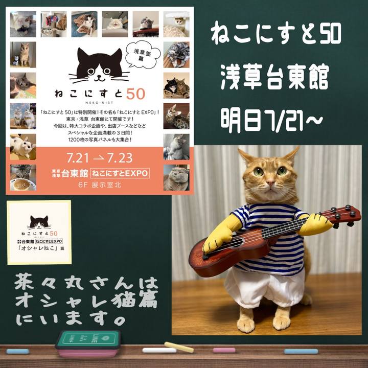 1eca2514 c84d 4f08 9c48 f441b93051a1 1658323514288