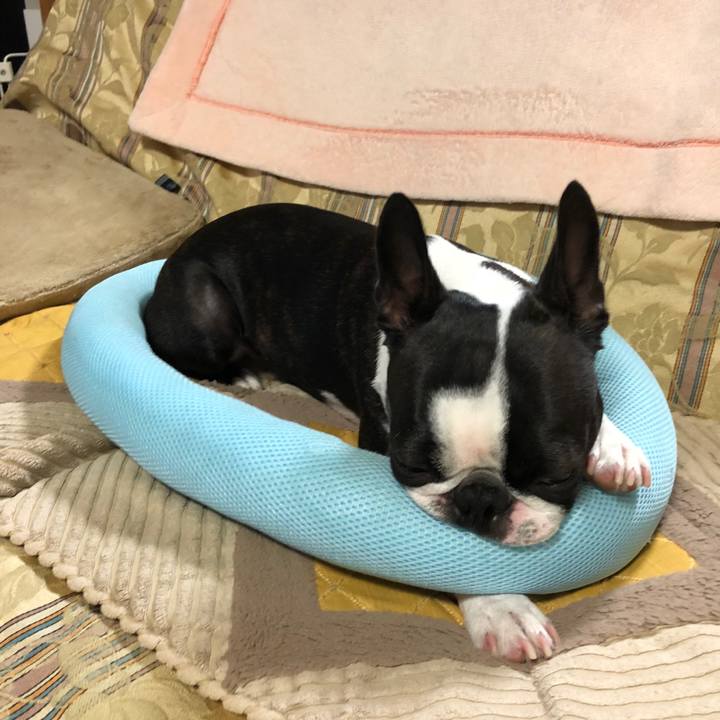 1eca3b02 4e68 4951 98df 715d9cf38606 1537849931248