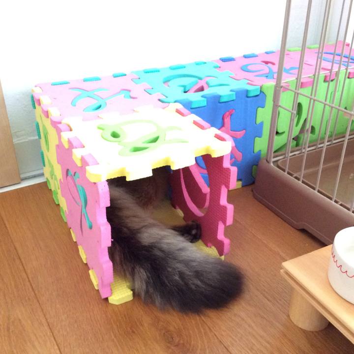 1eca722a 3c0f 43fe 85e1 142cec44e77c 1567053083768