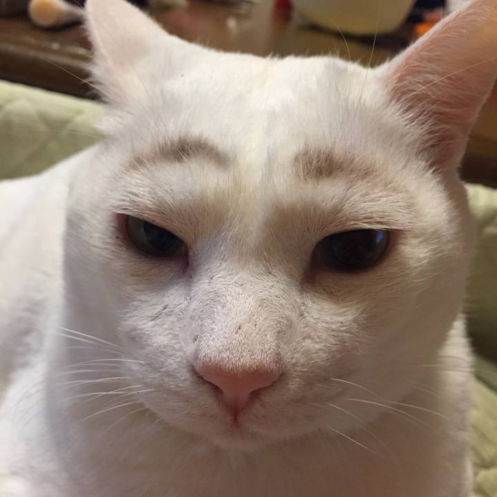 1eca7660 dc3b 4336 941a 72a05bea30f8 1511792094948