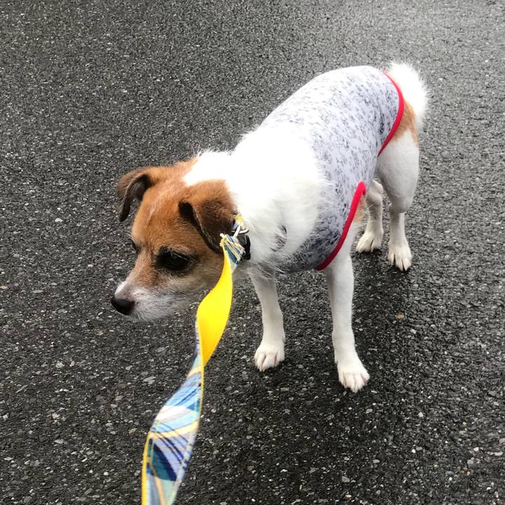 1eca9bab 6fdb 472b 9e6e cd80cba8d1f5 1532816796500