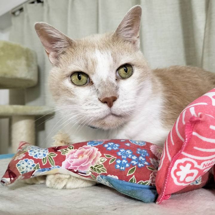 1ecabd4a f38e 45ac bf33 6a239e0245c3 1685399377512