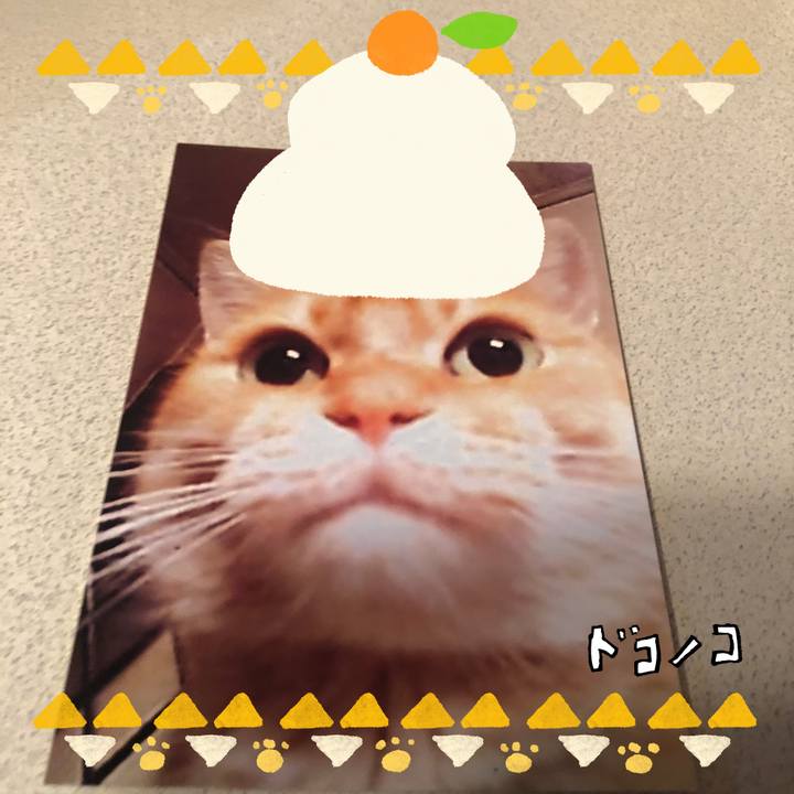 1ecad1d3 92e2 4b6f b0bd 4b9bbdfa18b6 1704191245920