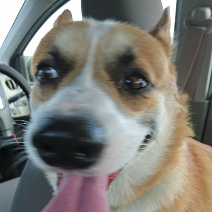 1ecaf671 bfda 44e4 af78 655727a20964 1597101717419