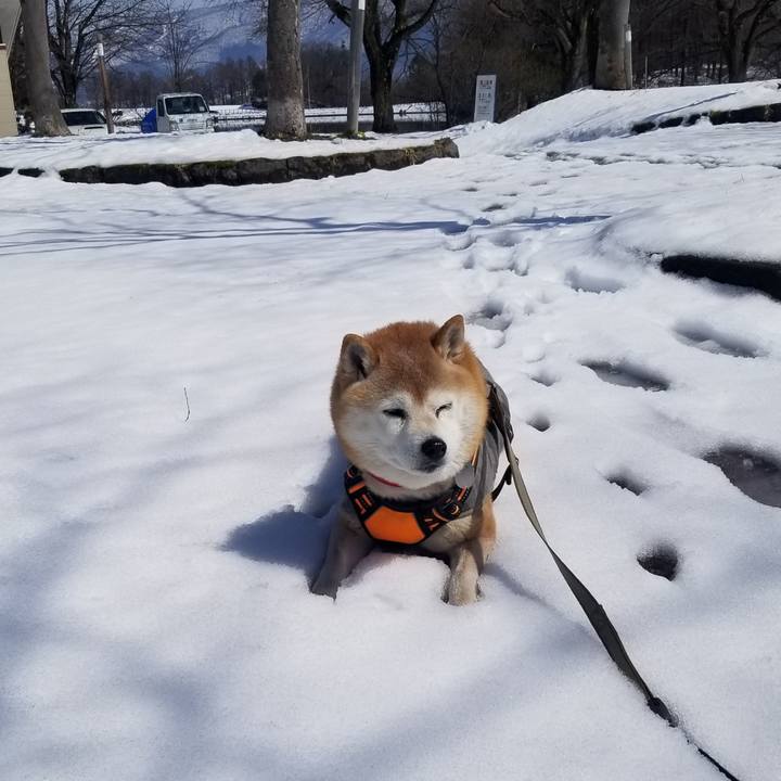 1ecaf725 4372 4655 a4e7 7af3d1b26d65 1711254470399