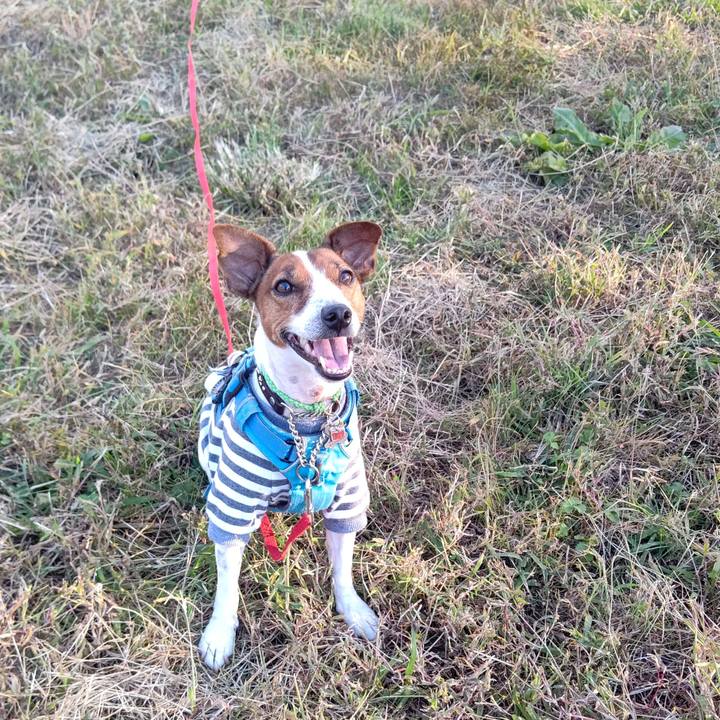 1ecb4bb3 d935 487a ac39 9e0d366909e9 1667479520078