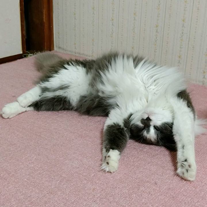 1ecb60ea 9e97 497e 82e0 7b95a36dfe44 1593384198819