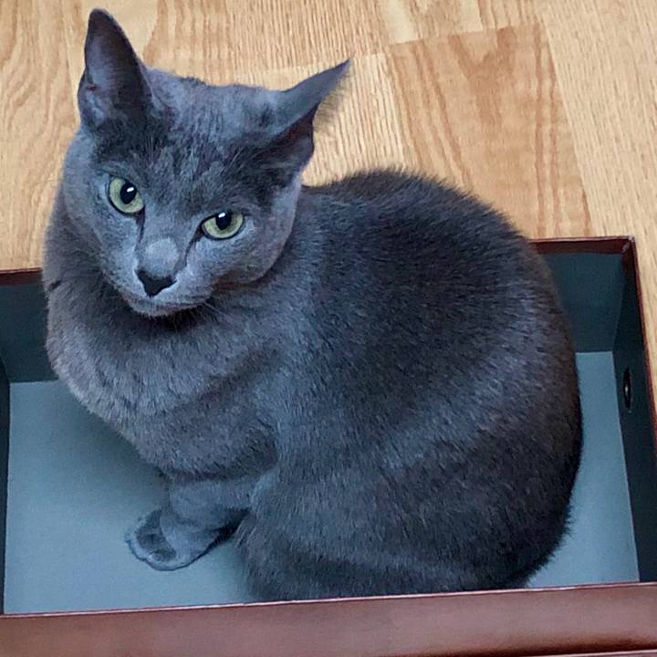 1ecb7999 ba44 48e5 bd3c 385d260ad455 1620447305551