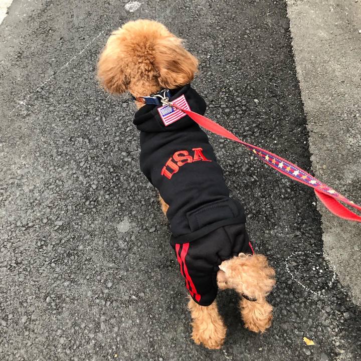 1ecbc81d 9918 4e87 a32e 606bc5f924fd 1575681230949