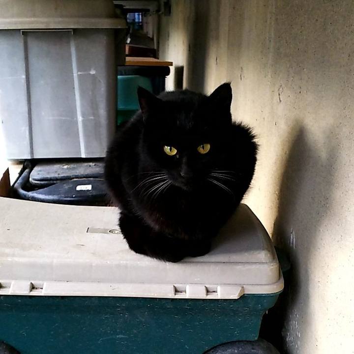 1ecbf1ab 37c4 4901 a725 d36ea9df8138 1547624685105