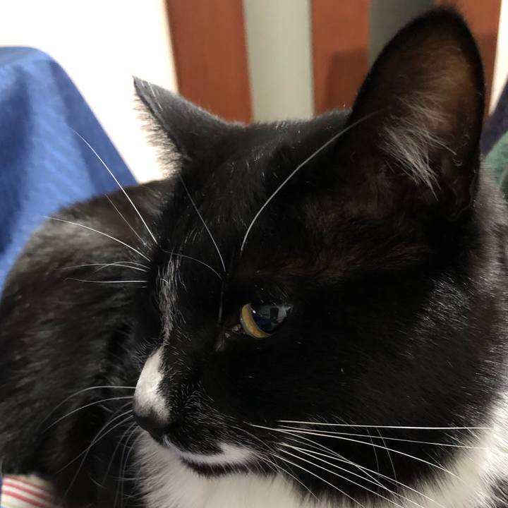 1ecc05e9 1522 4886 b0ff e9bed12b3e23 1643187776859