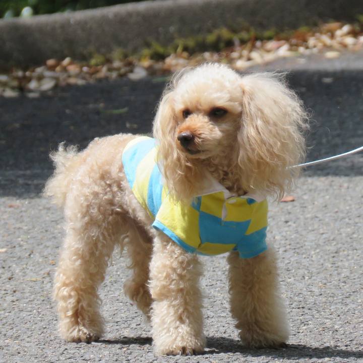 1ecc32fe 36b5 4c54 8951 46ffdadf8a0b 1626510131378