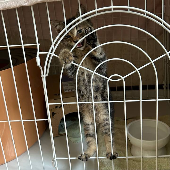 1ecc7b1d dc12 4a5a 9abd b556e58f2b89 1724120486691