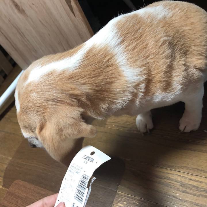 1ecc809f da6c 4a8b 8f02 875659075788 1548558285545