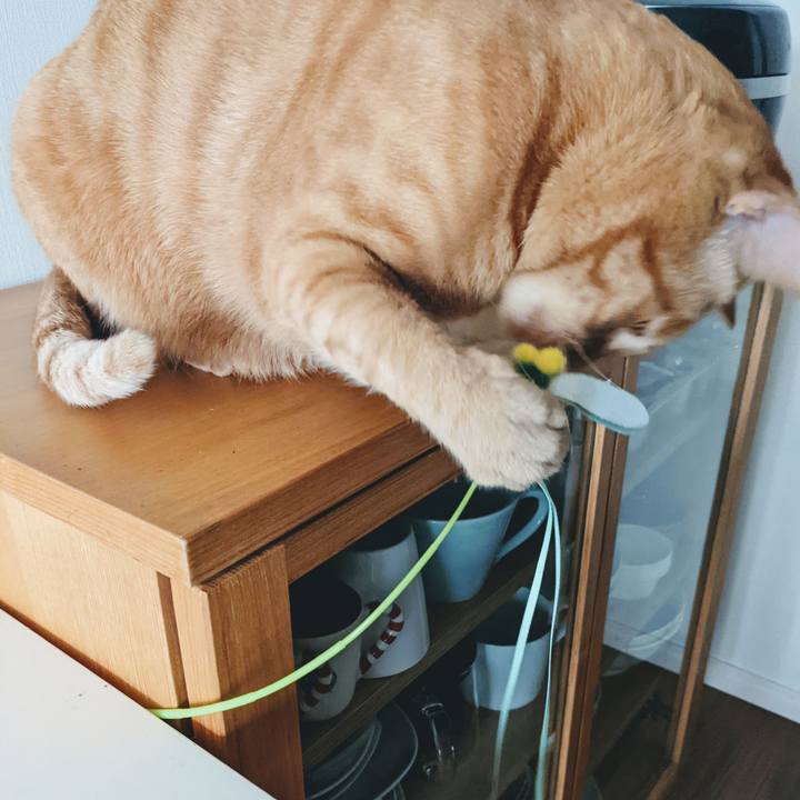 1ecc857f fb58 4439 8d62 7ec5cdc98400 1639202690526