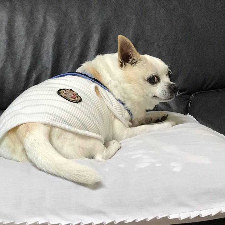 1eccb326 6c63 4f4b b55b fadbb4d4ffb5 1565832407969