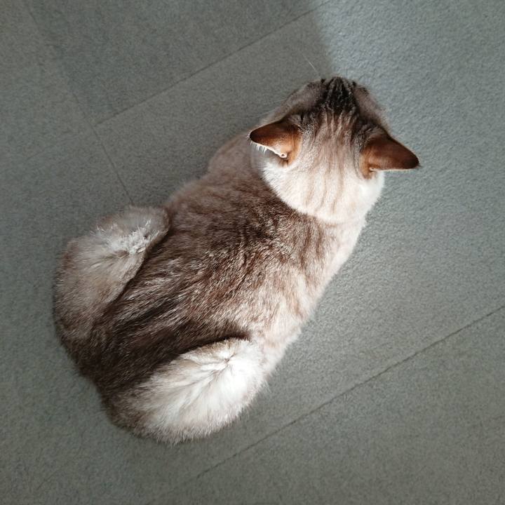 1eccd4f4 bec9 4870 b40d 50fa8004819d 1565769718860