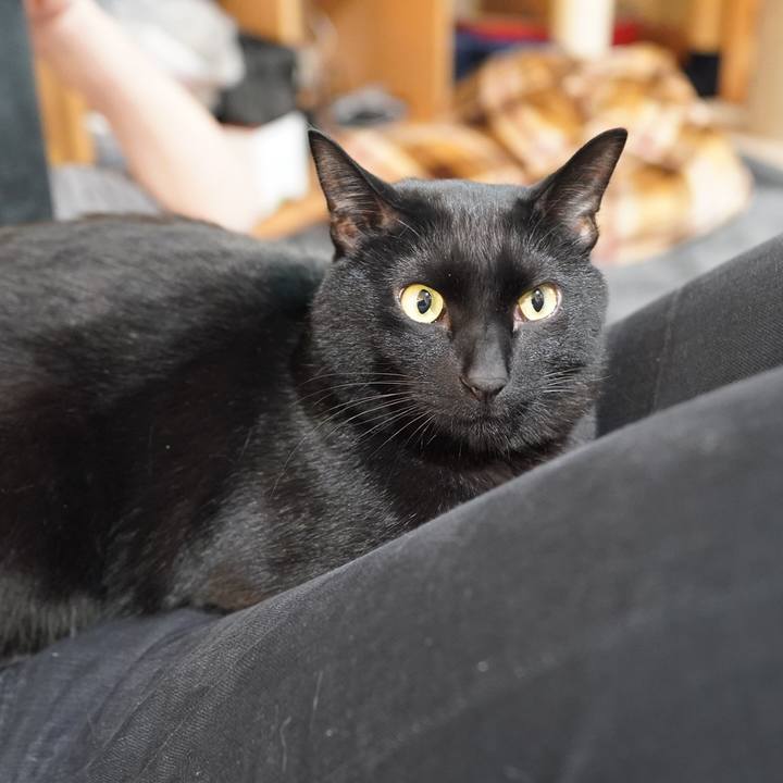 1eccf87d 9e6d 4766 a32b 0cb5c7e7eec5 1612789638346