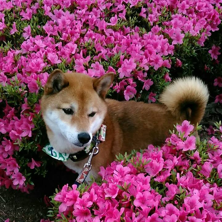 1ecd0bae 8941 4c9d b8e9 8e5d9b276a7d 1559866799272