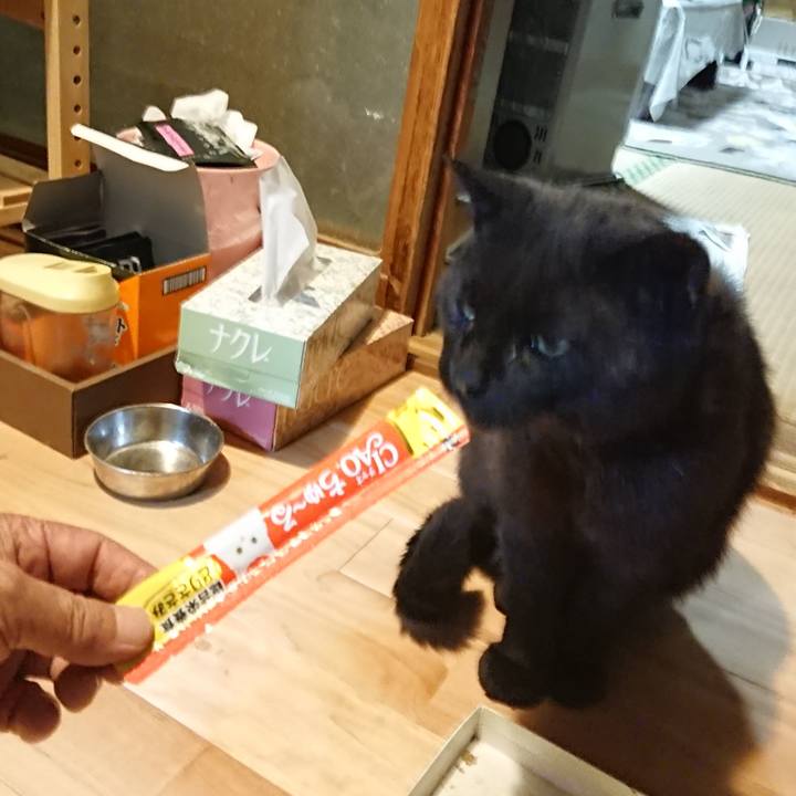 1ecd0e02 1c7e 4974 92b7 68d165059a50 1623062937468