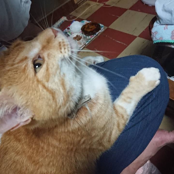 1ecd1015 a072 4836 8a34 2df070499973 1594378707585