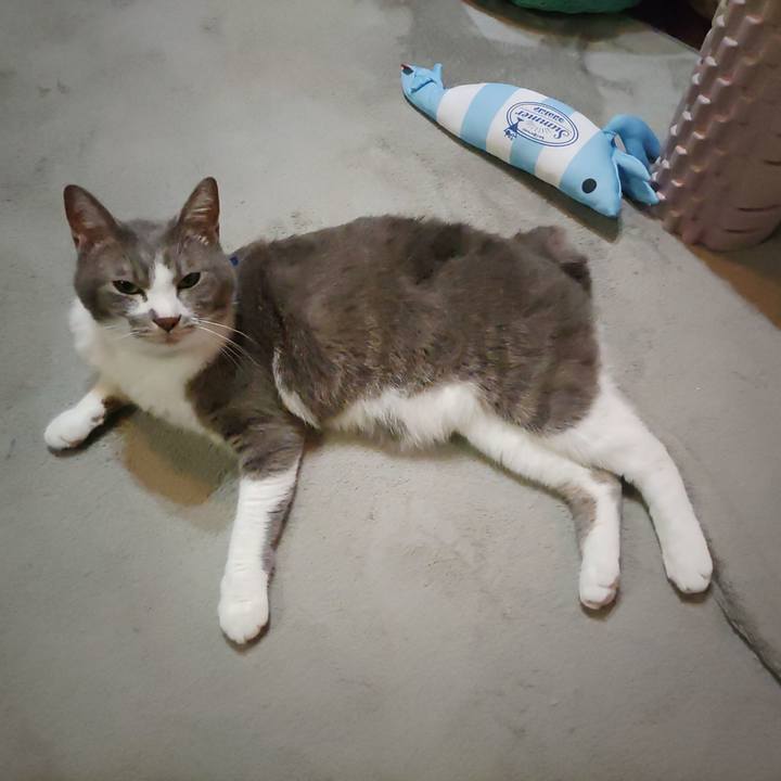 1ecd31e4 9aaf 4746 b66a ae21d2741ba3 1689384094447