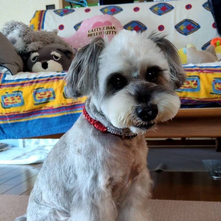 1ecd4199 dbd7 42b8 9e7d b29d65517be0 1762753638897