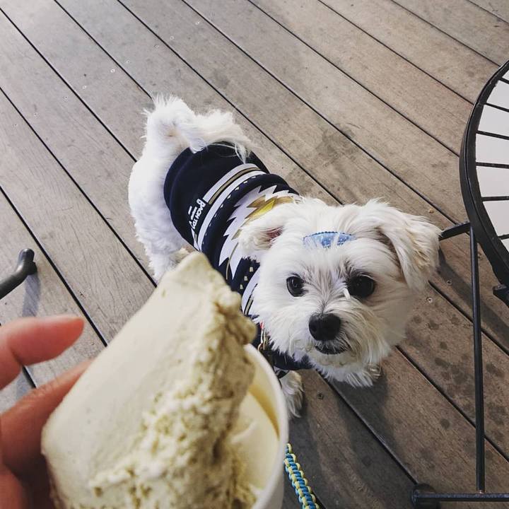 1ecd428d b20f 40f4 8619 cf0160ec8772 1636181561099