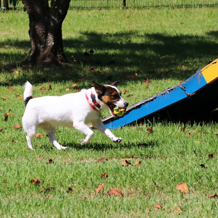 1ecd58f9 374f 4052 a942 7fd87bfd4fad 1568444347247