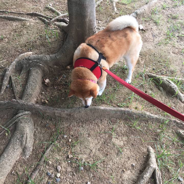 1ecda7e3 3a19 4b4e ba5b db14343aef94 1600214609248