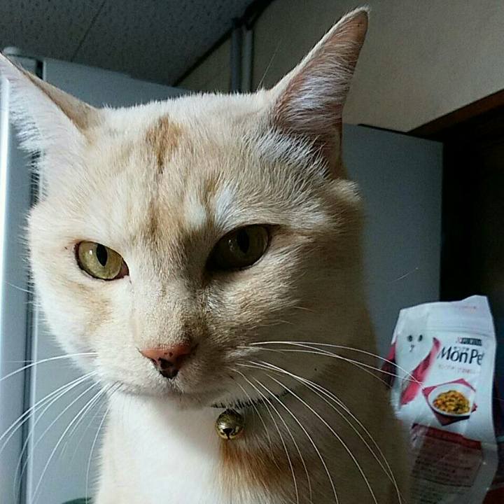 1ecdb148 6ae0 4e0d b92d 11a4f8734182 1520122625055