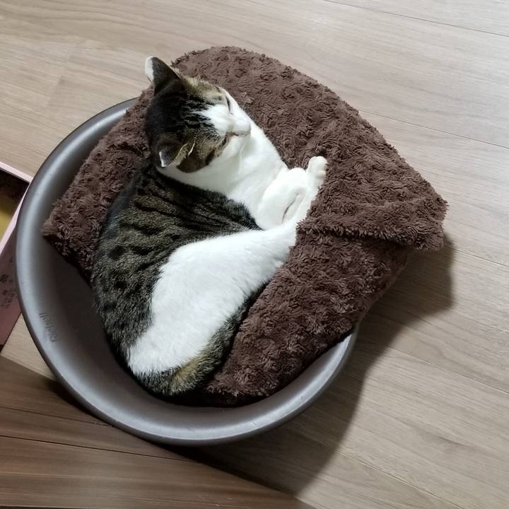 1ecdd3d1 07c4 4771 b3c7 81071f21b4ac 1604439765370