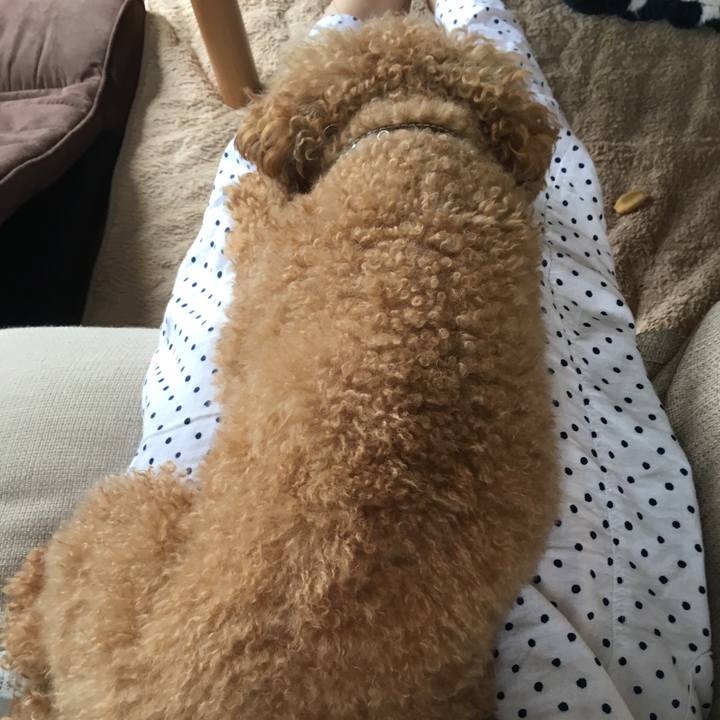 1ece0bdb e095 4578 a6e8 4a3cde36c921 1530144203592