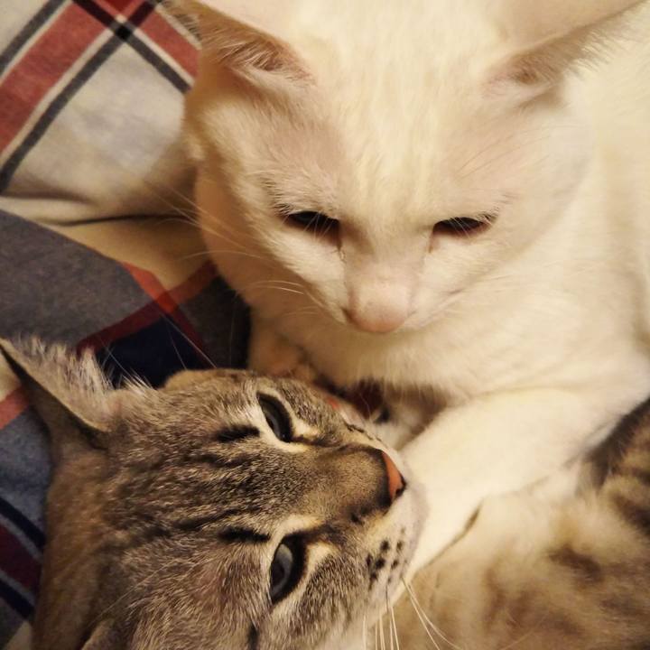 1ece0f8c 080e 40f1 af68 dd18dca82fb6 1581347124830