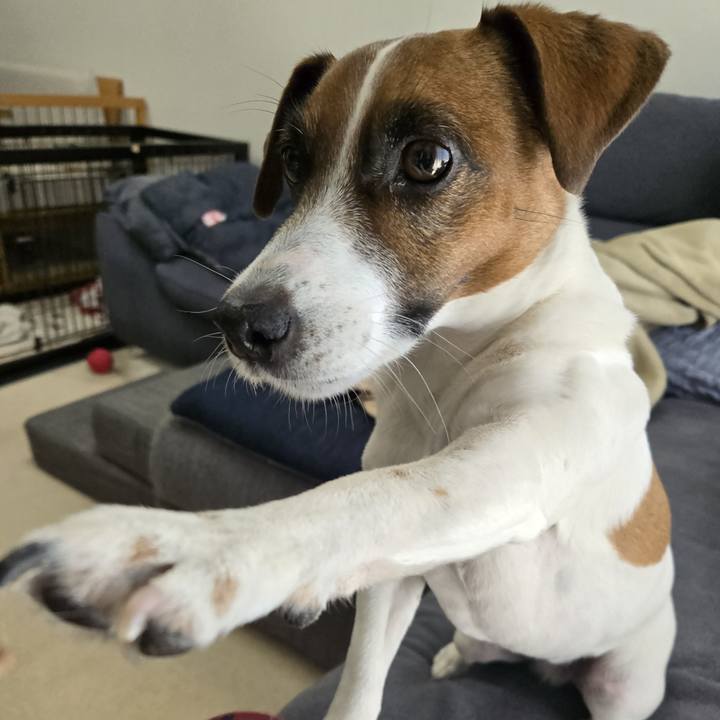 1ece262c 08e4 43b3 81f0 04cadfe7f7c6 1772595404826