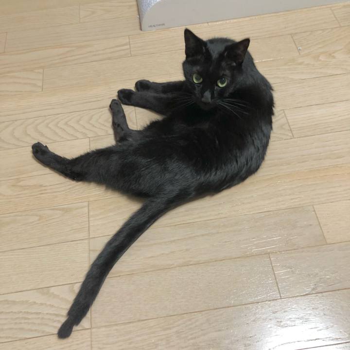 1ece5ac9 28b1 4d17 b53e 1f0b6e961555 1618404779800