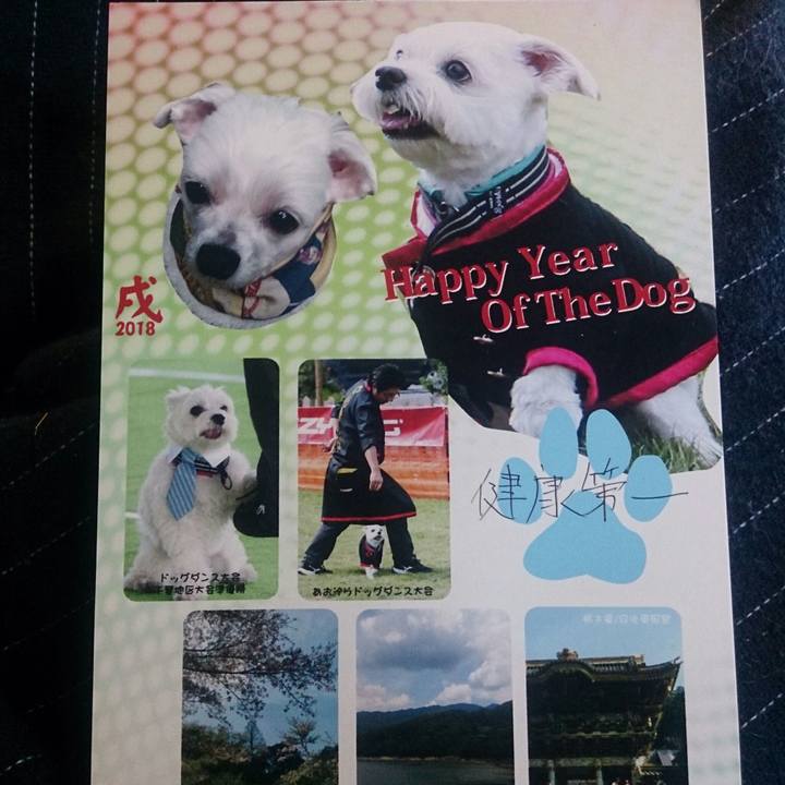 1ece6aa5 6199 4931 8c1c 09ff58539aa3 1514782663233