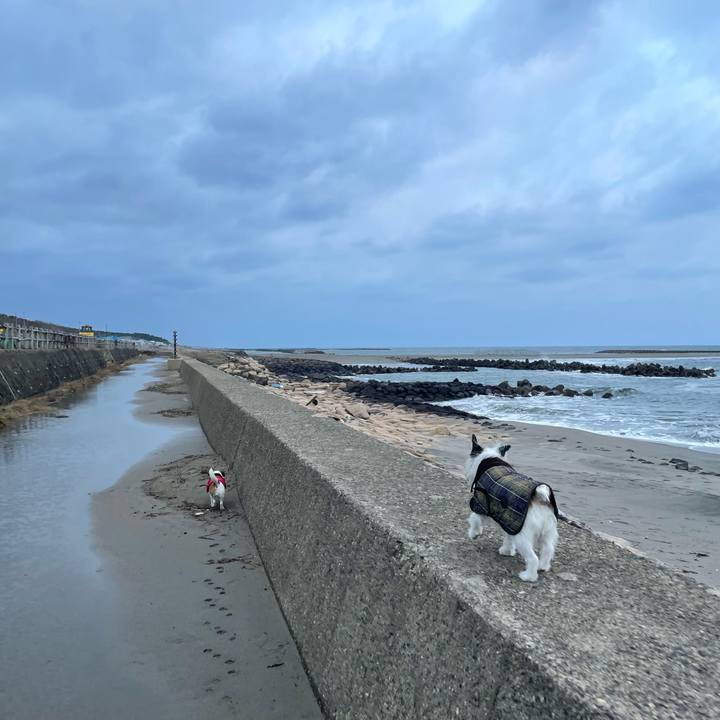 1eceaef5 0662 4527 88aa 7c3c3cee0c34 1705620363359