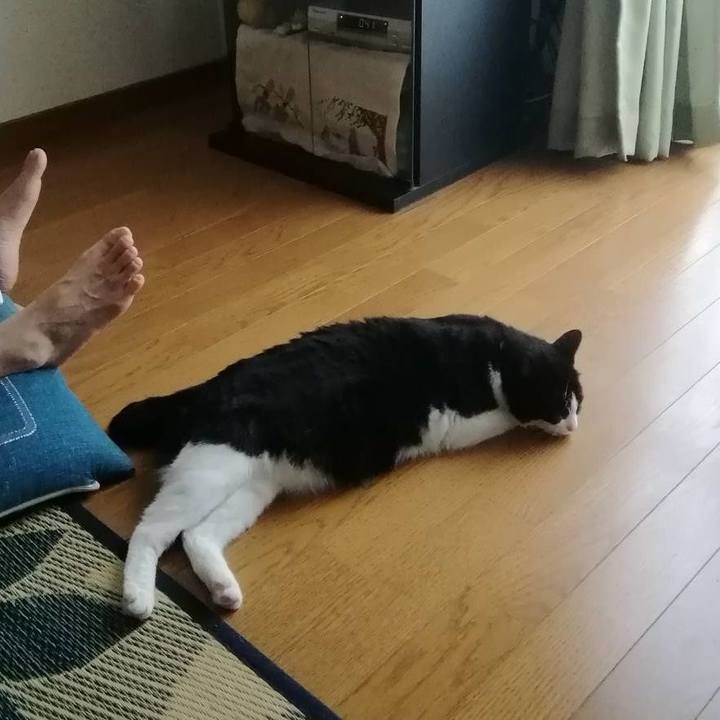 1ecec0f4 b35e 4e72 85e9 3b6cfb4715e2 1565079554306