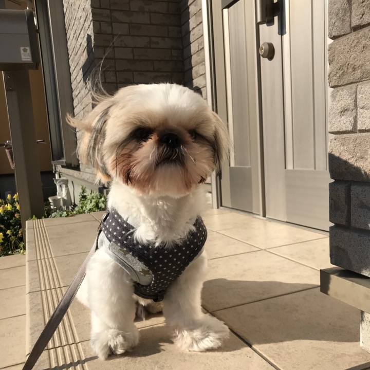 1eced694 75de 44eb acf5 860b2cc941c8 1576679370934